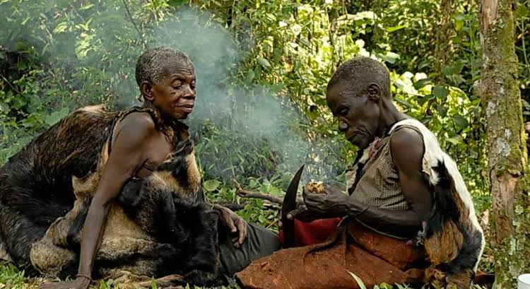 The Batwa Trail in Mgahinga: Learning Forest Culture From Its Keepers