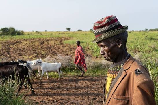 The Karamojong: Cattle Culture in Northeast Uganda