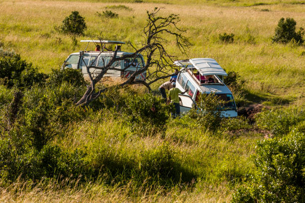 Travel Insurance Claims on Safari: What Is Covered and What Is Refused