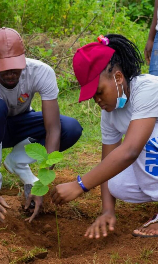 Tree Planting Days in Uganda: Join Community Nurseries