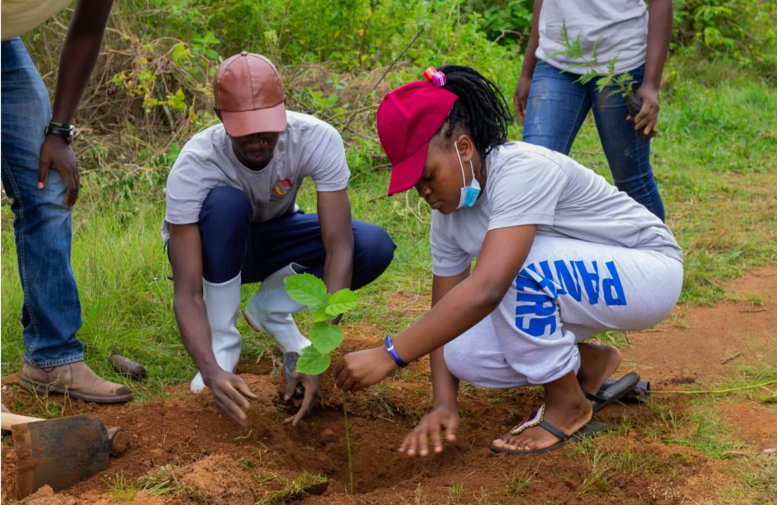 Tree Planting Days in Uganda: Join Community Nurseries