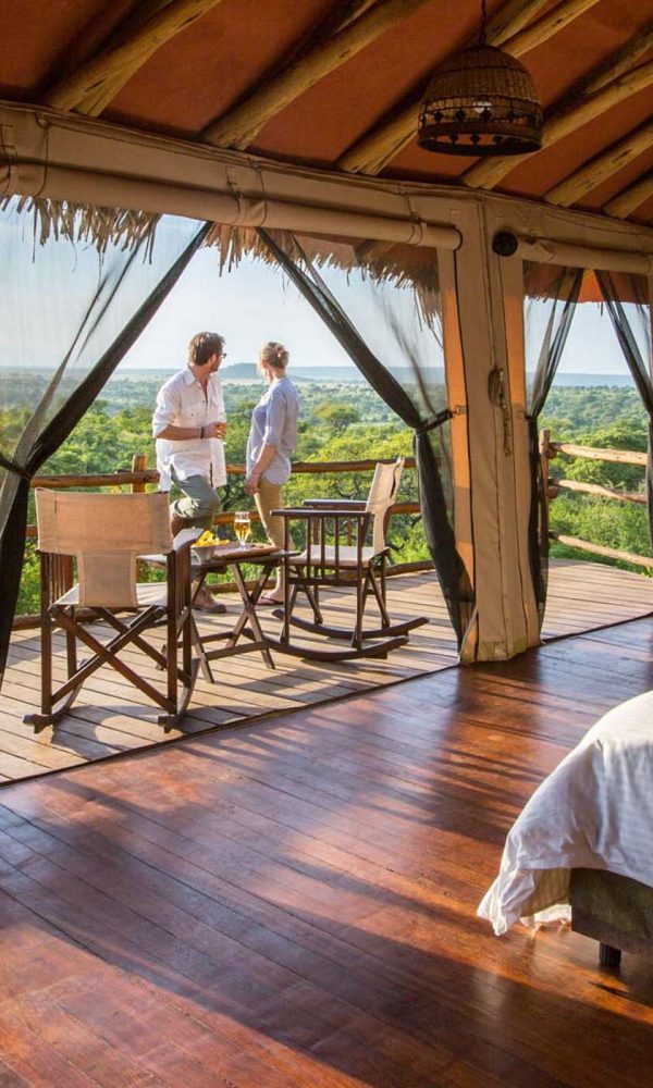 Treehouse Stays in East Africa 600x1000