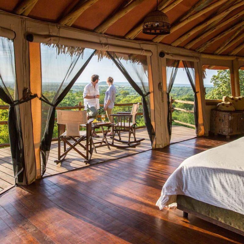 Treehouse Stays in East Africa Treehouse Stays in East Africa