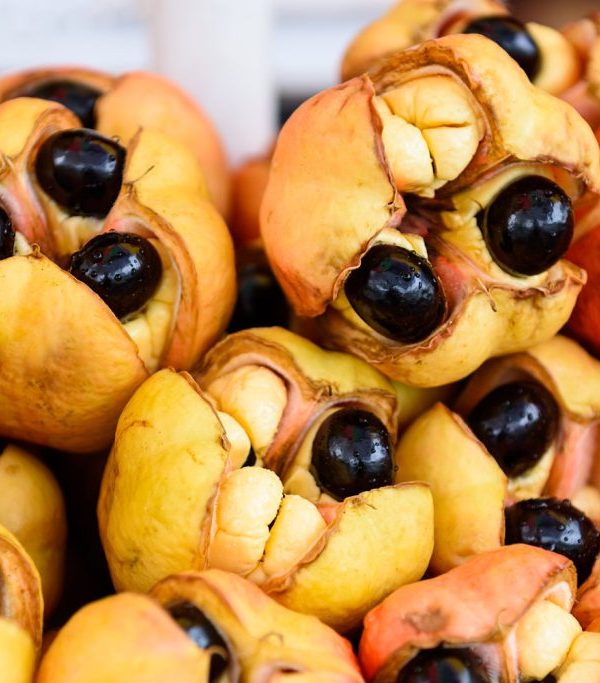 Tropical Fruits of East Africa You Must Try