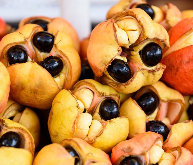 Tropical Fruits of East Africa You Must Try Tropical Fruits of East Africa You Must Try
