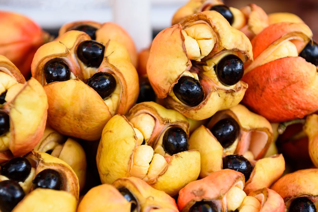 Tropical Fruits of East Africa You Must Try