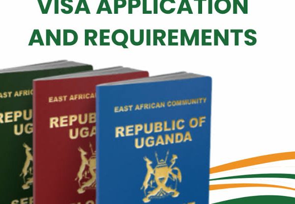 Uganda E Visa Application: A Step by Step Walkthrough
