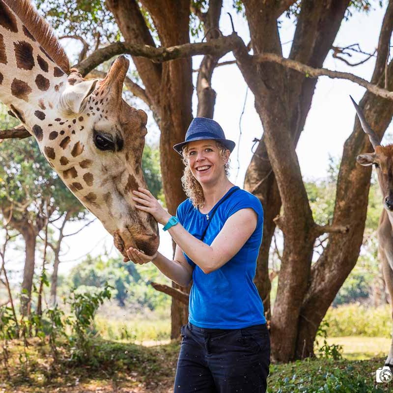 Uganda Wildlife Education Centre Uganda Wildlife Education Centre: A Family Day Out in Entebbe