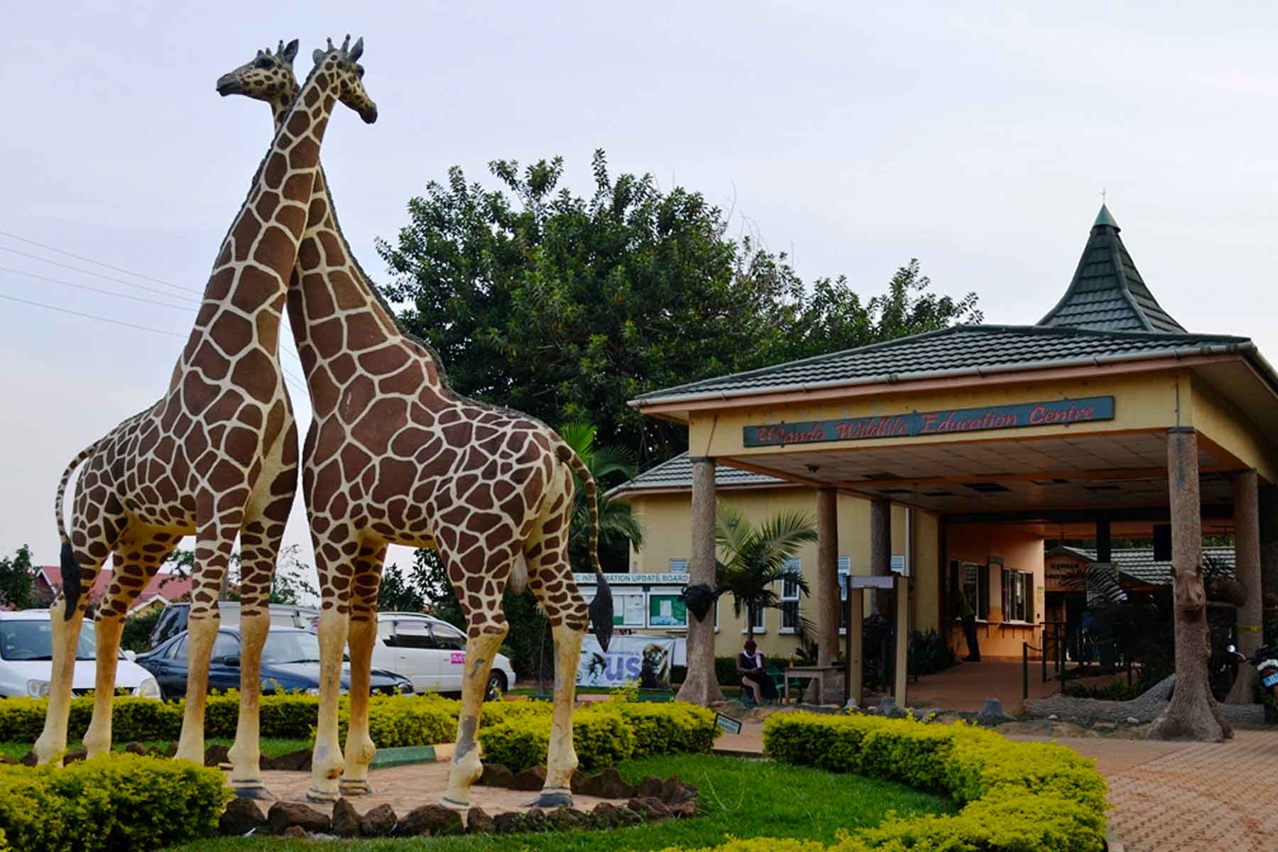 Uganda Wildlife Education Centre Entebbe Zoo2