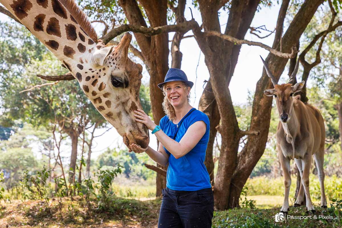 Uganda Wildlife Education Centre: A Family Day Out in Entebbe