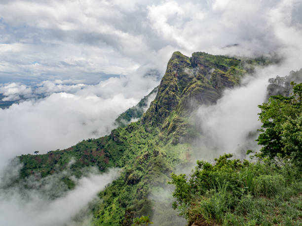 Usambara Mountains Hiking: Lushoto's Villages and Viewpoints