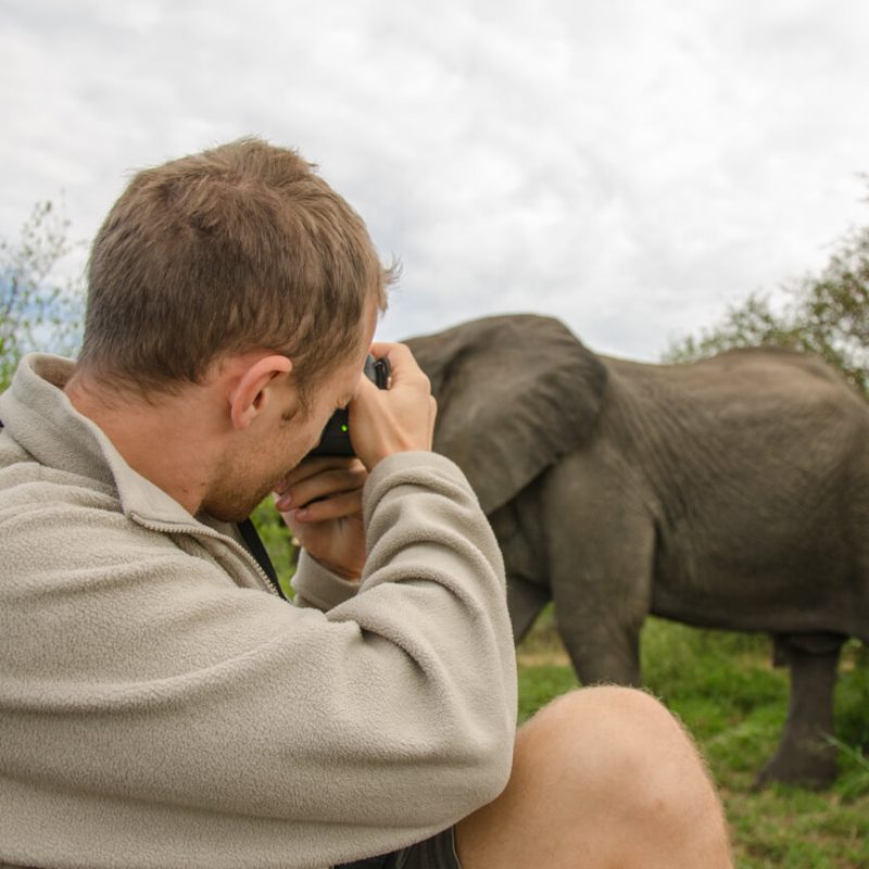 Macro Photography in Uganda's Rainforests