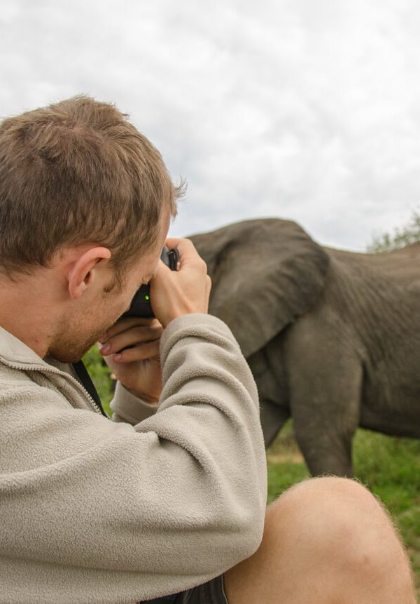 Video on Safari: Filming Wildlife Moments Worth Watching