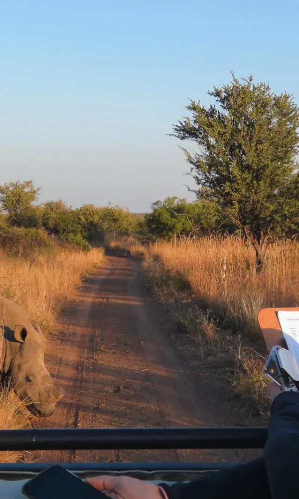 Volunteering With Wildlife: How to Spot Genuine Programmes