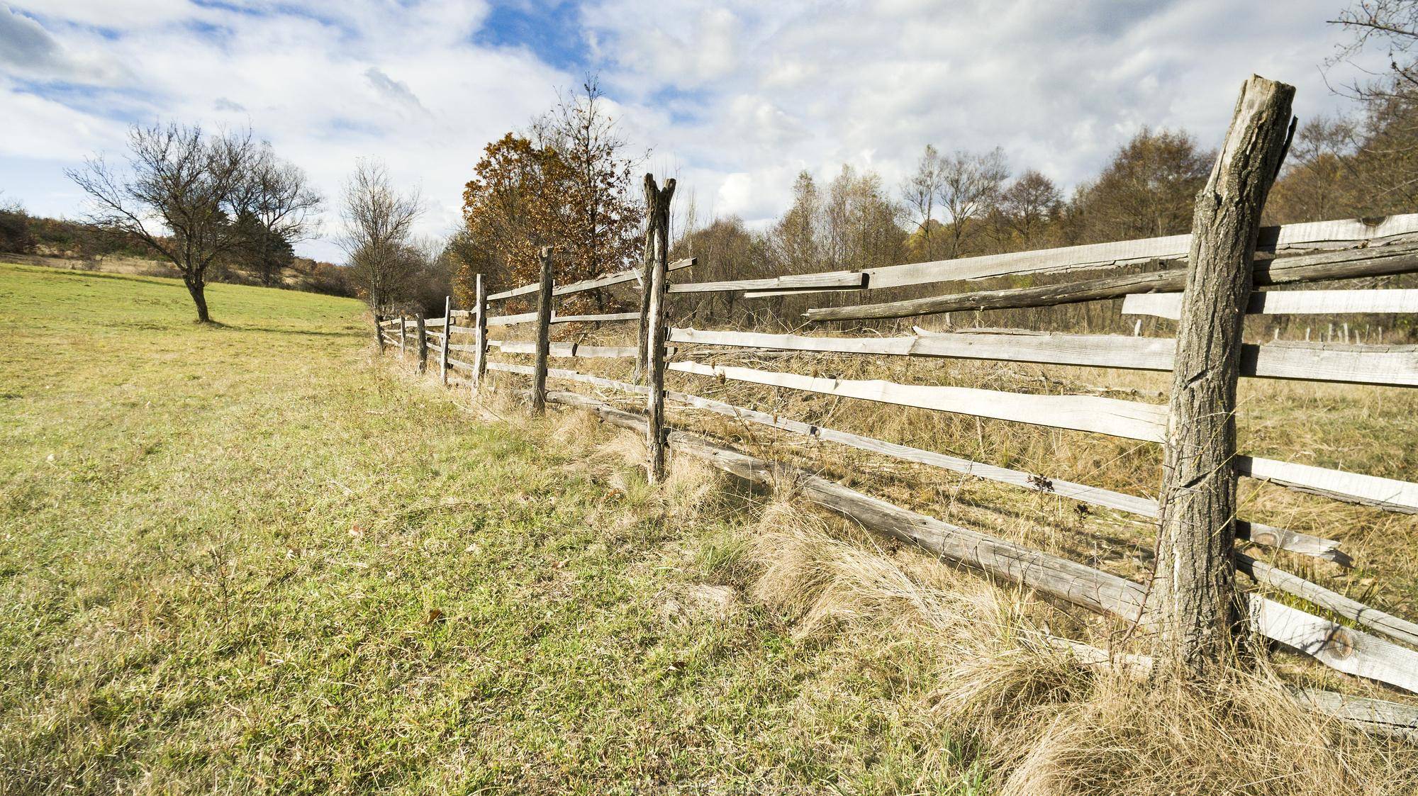 What Fences and Farms Mean for Migration Routes