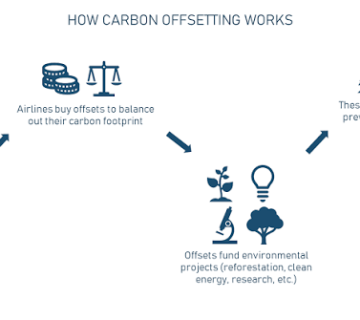 What Is Carbon Offsetting for Safaris and Does It Work?
