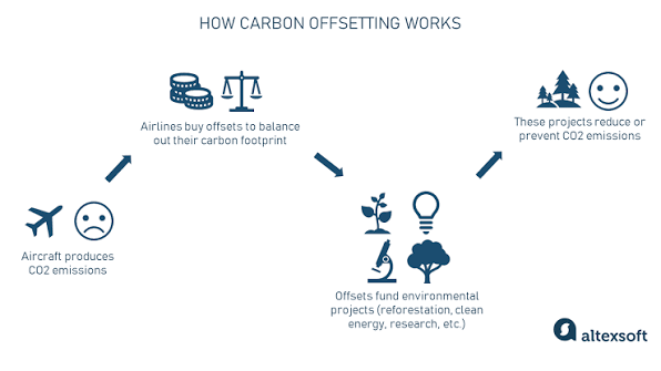 What Is Carbon Offsetting for Safaris and Does It Work?