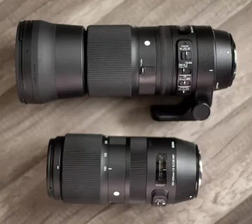 Which Lens Is Best for Safari: 100 400 mm, 150 600 mm or a Prime?