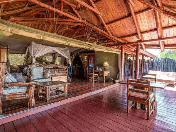 Why Some Safari Lodges Have No Fences (and How They Keep You Safe)