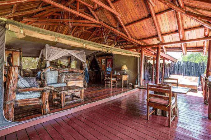 Why Some Safari Lodges Have No Fences Why Some Safari Lodges Have No Fences (and How They Keep You Safe)
