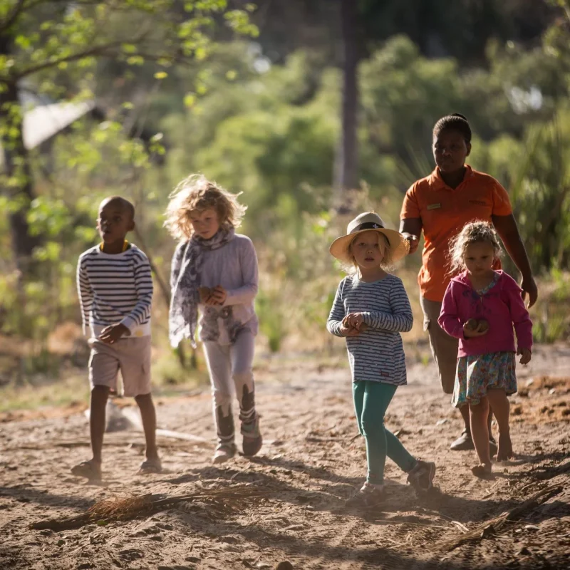 Witnessing a Kill on Safari Witnessing a Kill on Safari: What to Expect With Children
