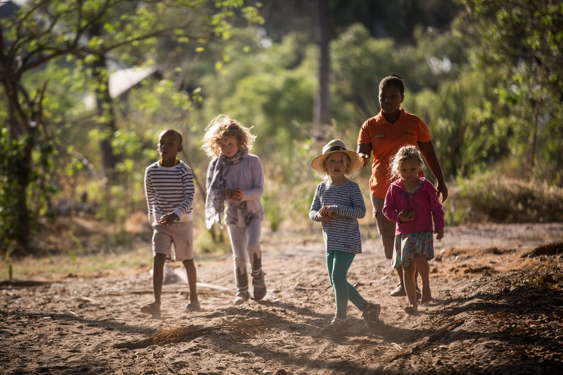 Witnessing a Kill on Safari: What to Expect With Children