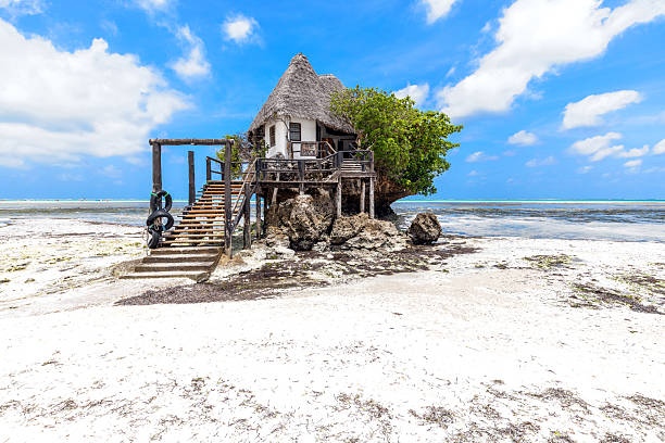 Zanzibar Tides Zanzibar Tides: Which Beaches Stay Swimmable All Day