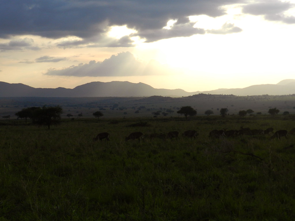 Kidepo3