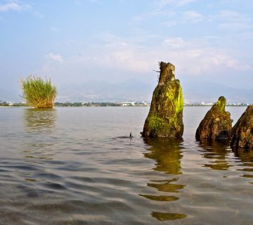 Lake tanganyika4 360x320