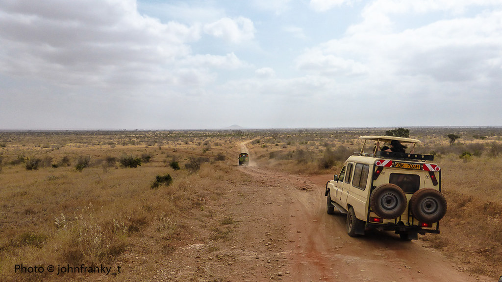 Safaris car2