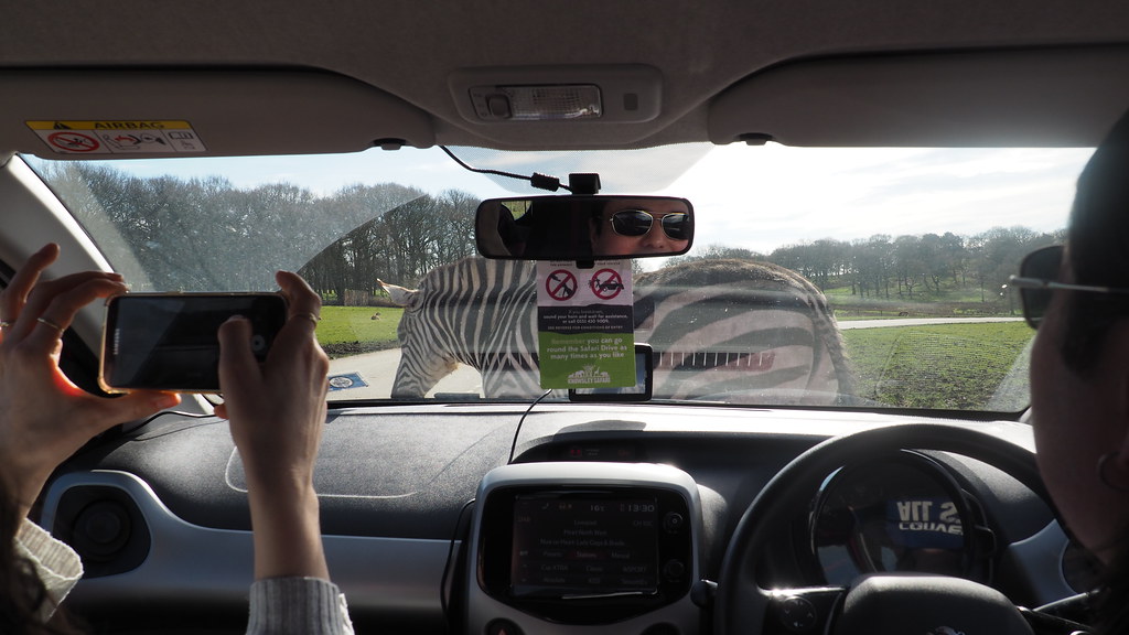Self drive4