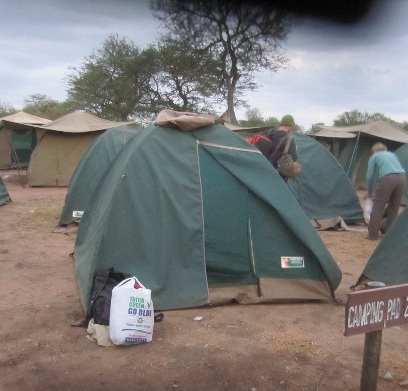 serengeti tents serengeti tents